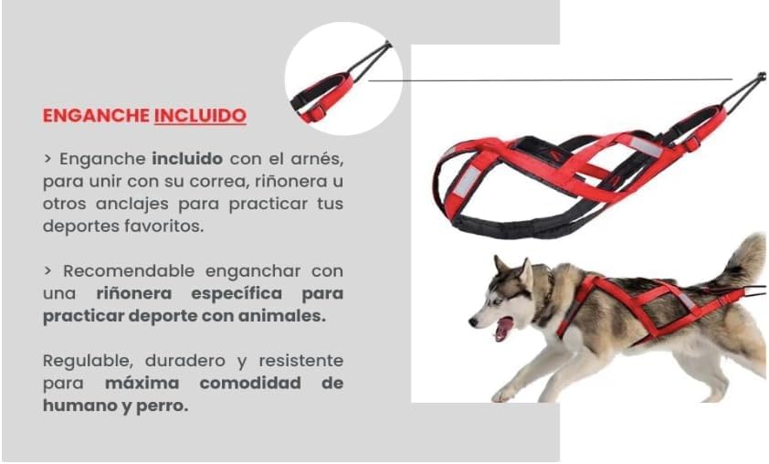 Total Sportgeschirr mit Hund, Laufen, Canicross, Schlitten, Mushing, Fahrrad, Roller... (M, Rot) M R