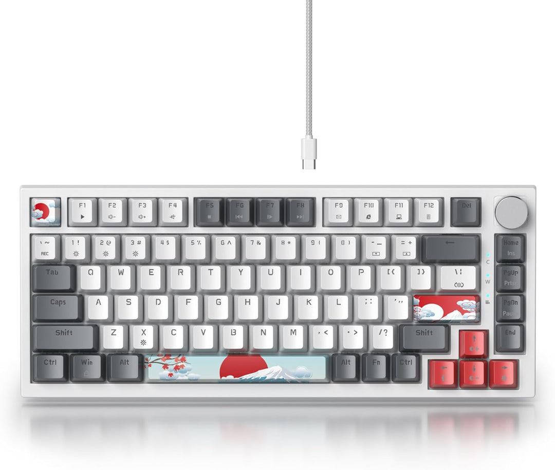 SOLIDEE 75% mechanische Gaming-Tastatur,hot-swap-fähige Tastatur mit rote Schalter,RGB-Hintergrundbe