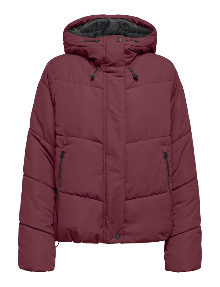 ONLY Damen Onlmaggi Life Short Puffer Cc Otw Onlmaggi Life Short Puffer Cc Otw (1er Pack) XS Caberne