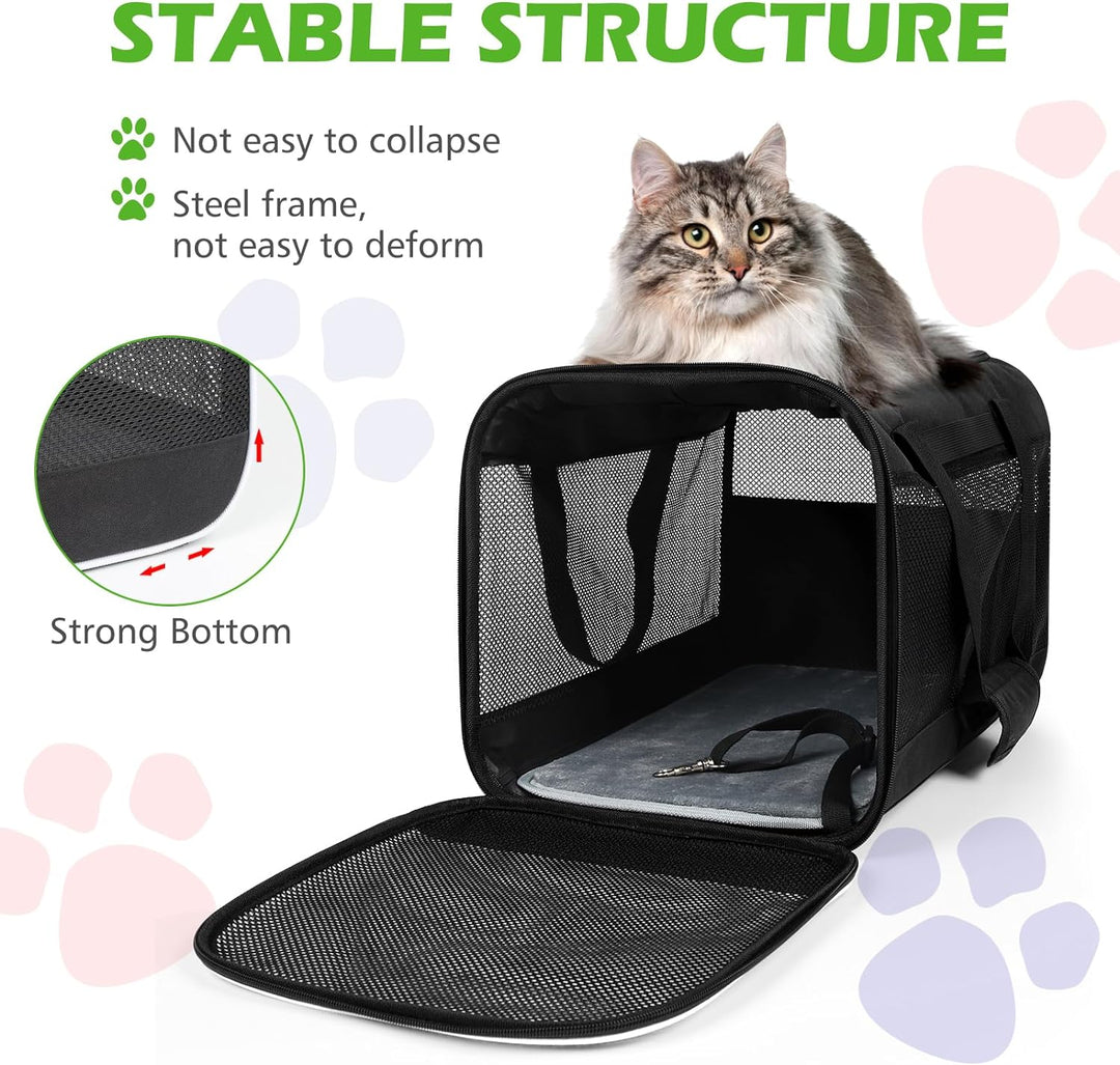 Lannvan Transportbox Katze, Katzentransportbox bis 6,5kg, Hundebox Faltbar Atmungsaktiv, mit Abnehmb
