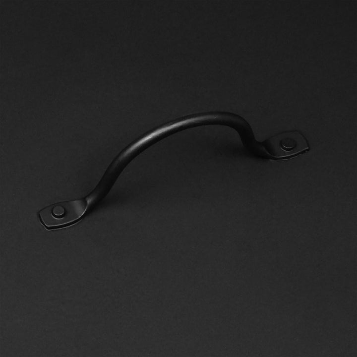 raik Ascheeimer Werner schwarz 24 l verzinkter Stahleimer mit Deckel und Holzgriff zum sicheren Tran