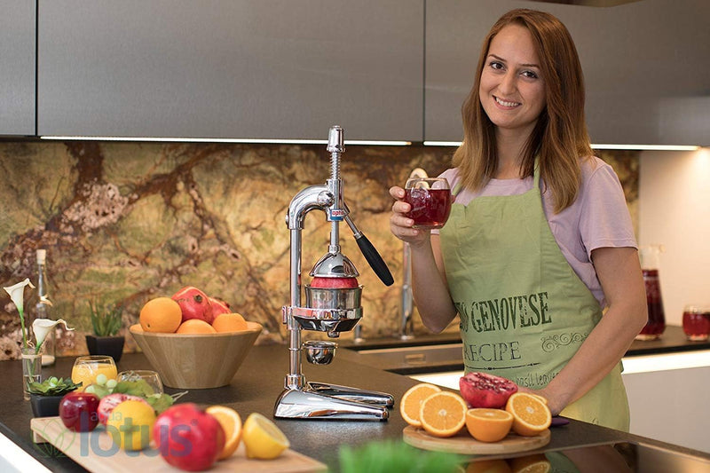 Zitruspresse in Handelsgüte, Handpresse, manuelle Fruchtpresse, Saftpresse für Orangen, Zitronen, Gr