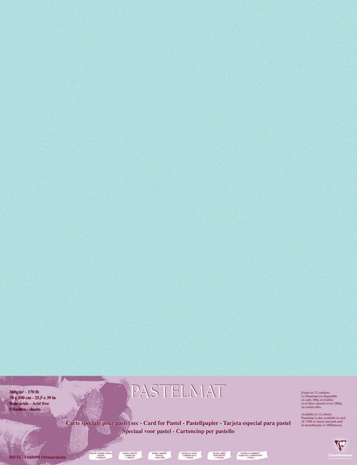 Clairefontaine 96160C Packung (mit 5 Zeichenbögen Pastelmat, 70 x 100 cm, 360 g, ideal für Trockente