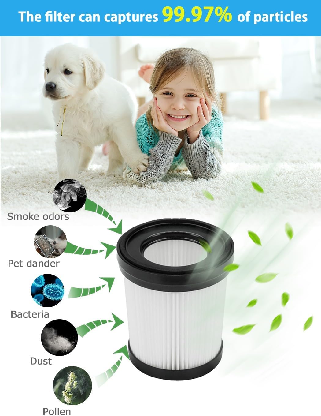 HEPA-Filter für FSV001/ FSV101 / Lubluelu 202 Staubsauger Hepa-Filterteile,8 Stück