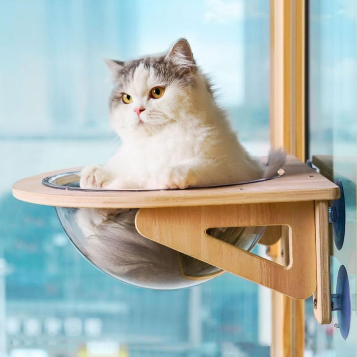 Katzen Wand Hängematten, Wandregale,Katzenblasen Möbel, Transparentes Katzenkapsel Bett Set, Katzen-