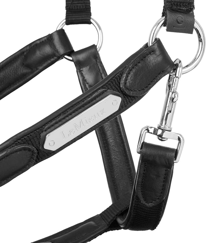 LeMieux Capella Headcollar Halfter Cob Schwarz, Cob Schwarz