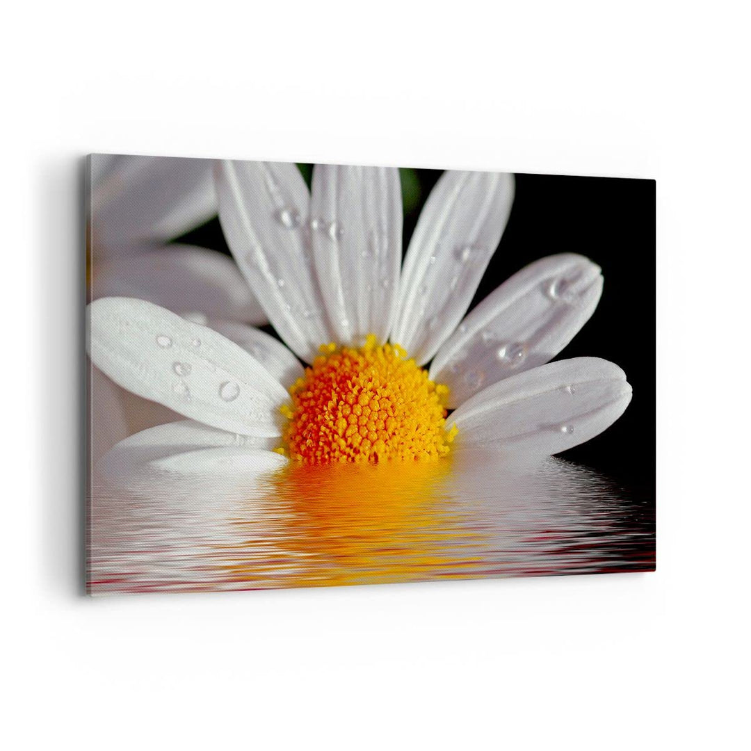 Bilder auf Leinwand 100x70cm Leinwandbild Kraut Kamille Blume Wasser Gross Wanddeko Bild Schlafzimme