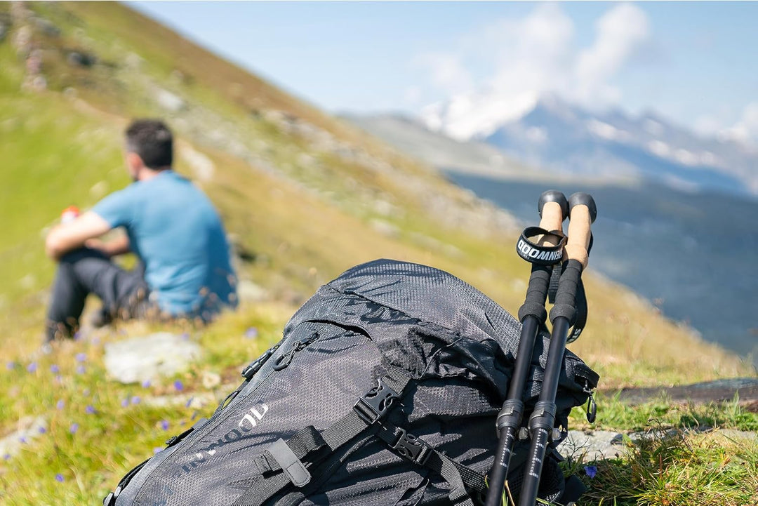 Steinwood Premium Carbon Wanderstöcke - Trekkingstöcke - extra leicht, verstellbar mit Teleskop und