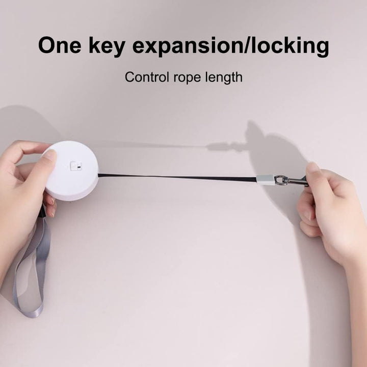 3m/9.8ft Hundeleine, Einziehbare Kleine Hunde Rollleine, Tragbar Automatische Dog Leash für Kleine H