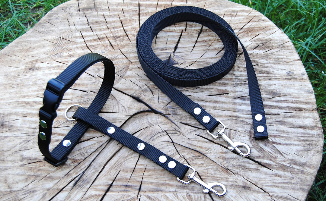 Böttcher Fährtengeschirr Fester Steg Gr.M und Fährtenleine 10m mit Stopp SCHWARZ