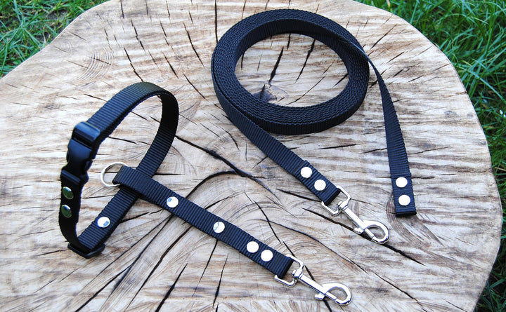 Böttcher Fährtengeschirr Fester Steg Gr.M und Fährtenleine 10m mit Stopp SCHWARZ