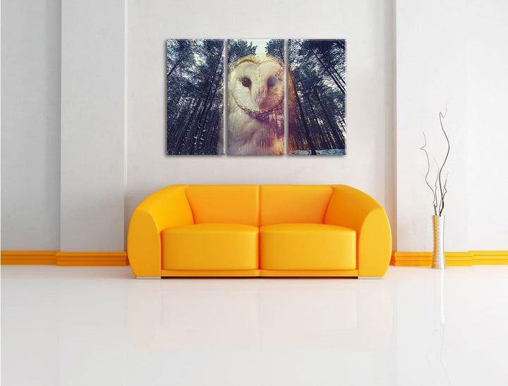 Pixxprint Portrait Einer Eule als Zeichen des Waldes 3-Teiler Leinwandbild 120x80 Bild auf Leinwand