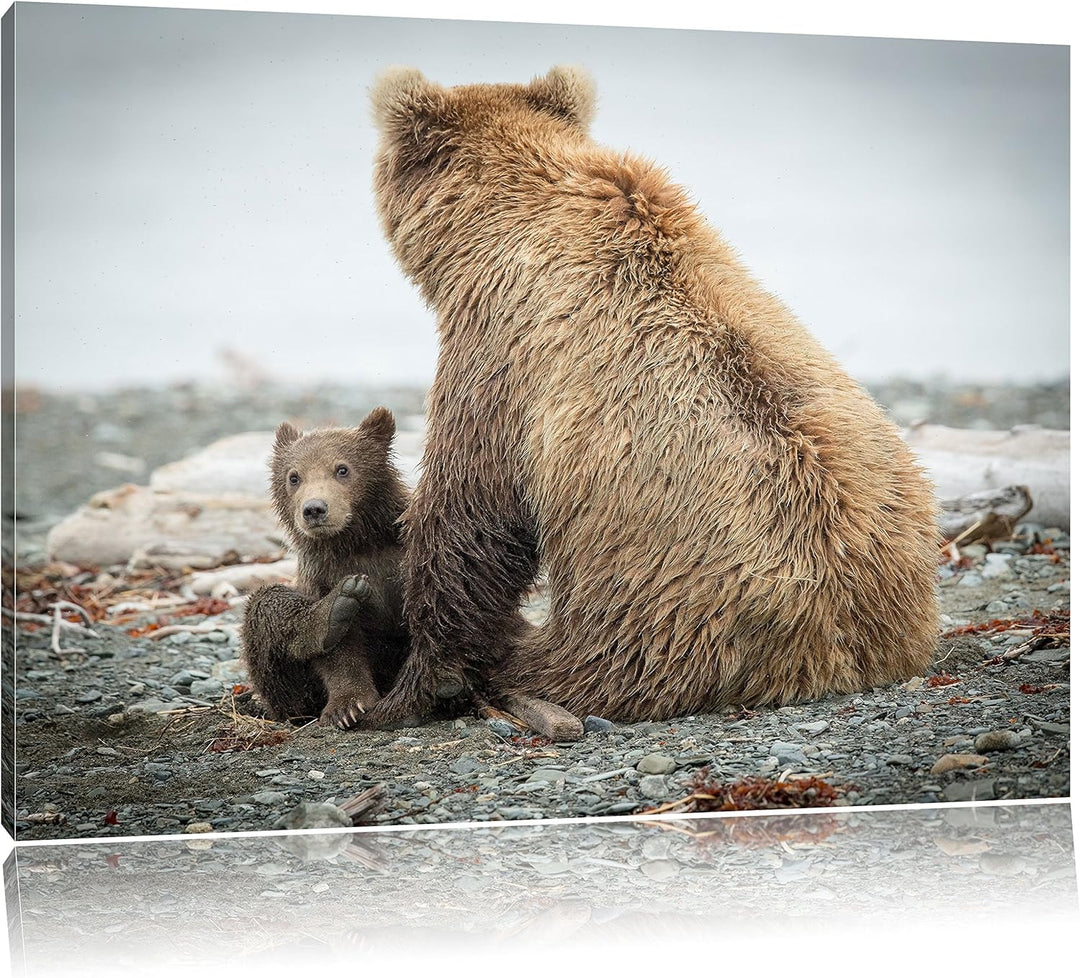 Pixxprint Bär mit Baby nach dem Baden, Format: 100x70 auf Leinwand, 100x70