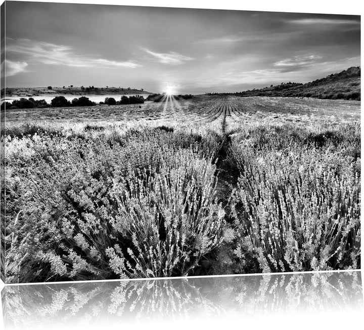 Pixxprint Lavendelfeld in Frankreich als Leinwandbild/Grösse: 100x70 / Wandbild/Kunstdruck/fertig be