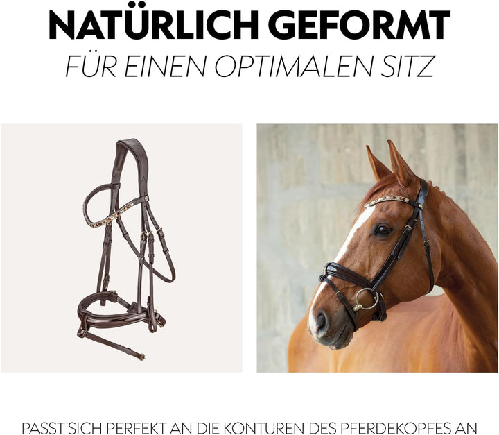 SUNRIDE schwedische Trense Aspen mit Zügel, aus weichem Echtleder mit Lack, verstellbar und anatomis