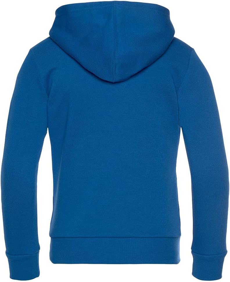 Champion Jungen Legacy- Classic Logo Kapuzenpullover 14 Jahre Hellblau, 14 Jahre Hellblau