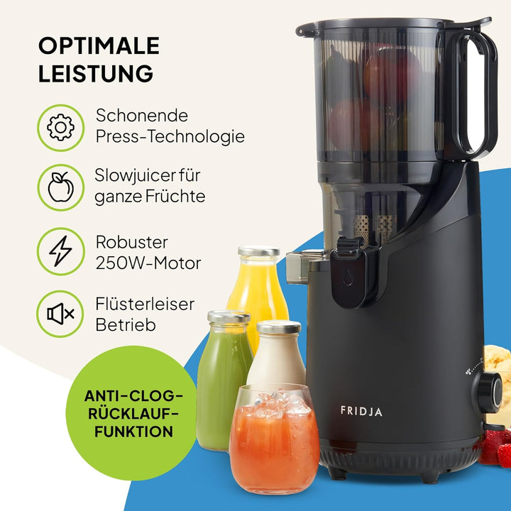 Leistungsstarke selbst fütterende ganze Fruchtmastaturen Slow Juicer, 135 mm Fütterungsschacht, 300