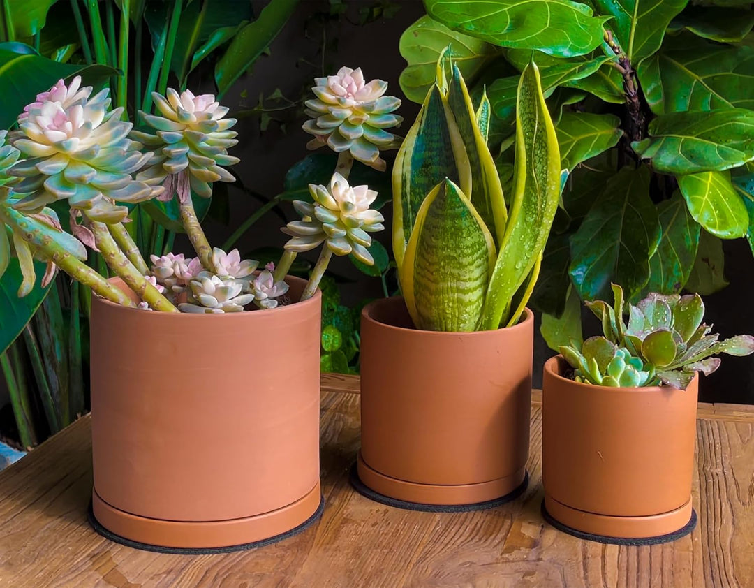 Terrakotta-Töpfe für Pflanzen, 10,7 cm, 13,9 cm, 16,5 cm, Sukkulenten-Übertopf mit Drainage und Unte