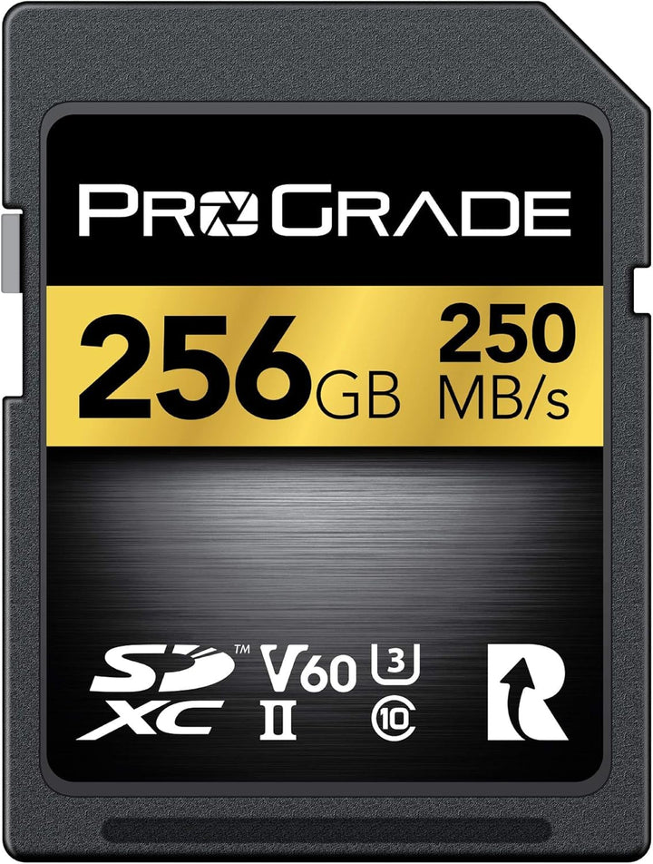SD UHS-II 256 GB Karte V60 - Schreibgeschwindigkeit bis zu 130MB/s und Lesegeschwindigkeit von 250MB