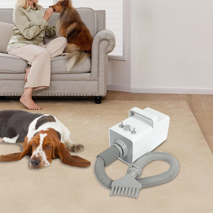 Haustiertrockner 2800W mit 4 Düsen, Weiss | Hundeföhn für Hunde & Katzen, 57 dB, 68 m/s Luftstrom, 2