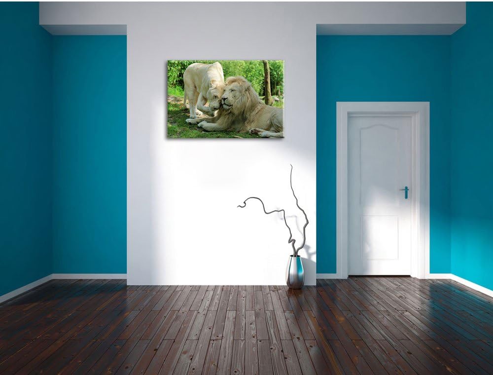 verliebtes Löwenpaar, Format: 100x70 auf Leinwand, XXL riesige Bilder fertig gerahmt mit Keilrahmen,