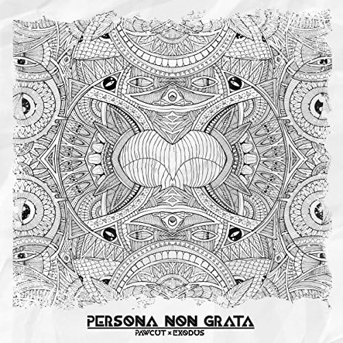 Persona Non Grata, Vinyl