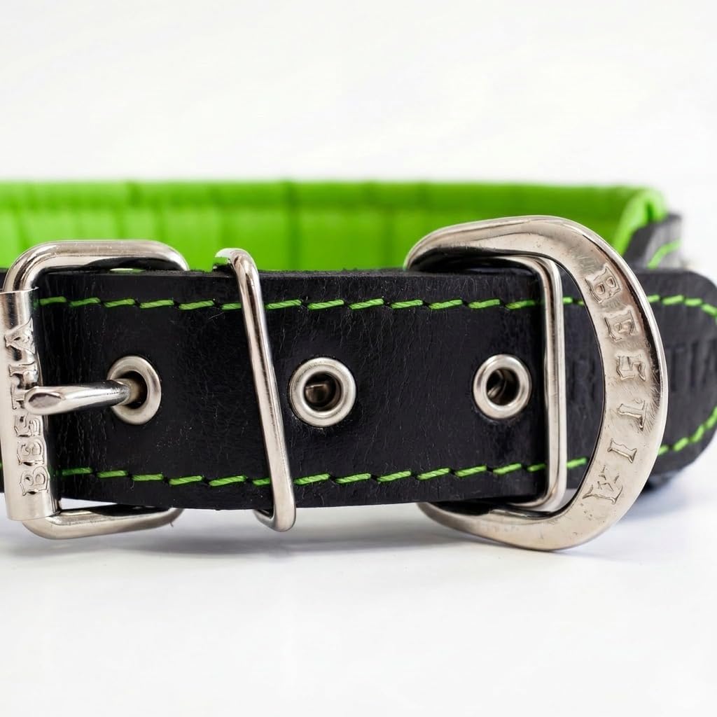 Bestia Bijou Hundehalsband mit Zierconchos. 100% Leder. Weich gepolstert. Handgefertigt in Europa! S