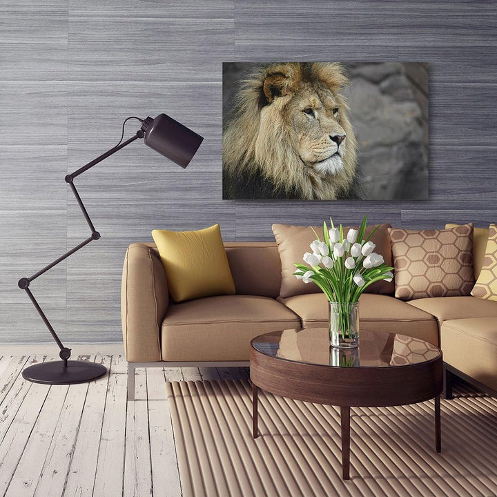 Feeby, Wandbild - 1 Teilig - 80x120 cm, Leinwand Bild Leinwandbilder Bilder Wandbilder Kunstdruck, L