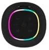 Canyon Bluetooth Speaker BSP-8 schwarz