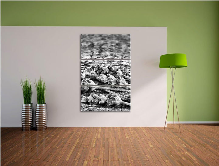 Pixxprint Lavendel auf Holz als Leinwandbild/Grösse: 3 Teilig (120x80) cm/Wandbild/Kunstdruck/fertig