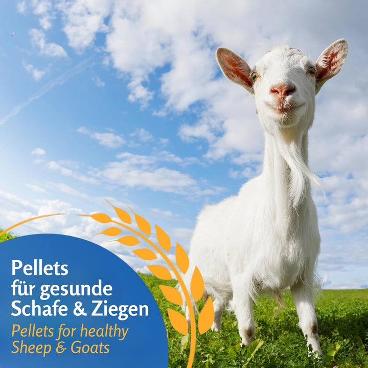 Leimüller Schaffutter & Ziegenfutter Pellets 25 kg - Futter für Schafe, Ziegen und Lämmer – Schafsfu