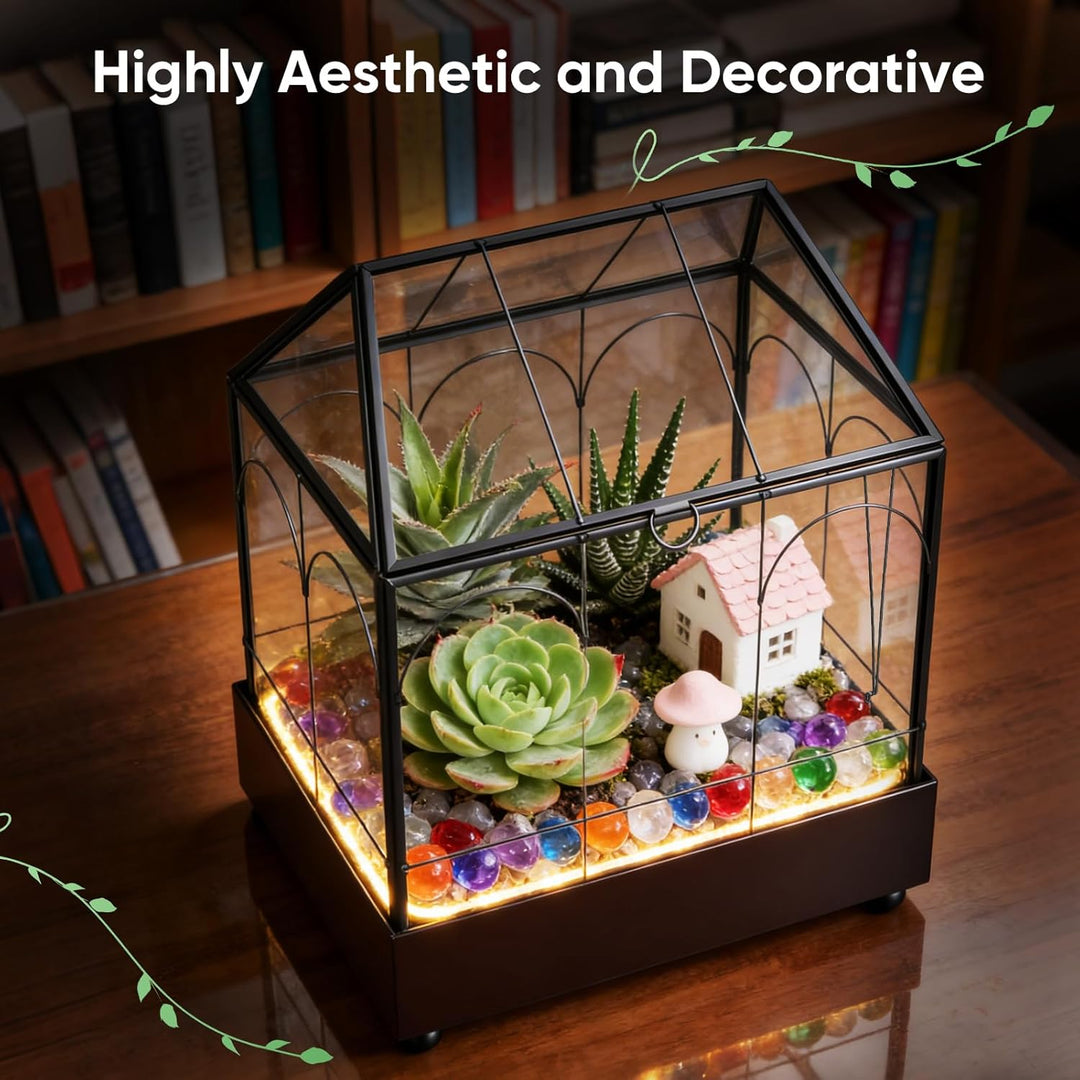 Mini Gewächshaus, 24x14,5x28cm Terrarium mit Aufklappbarem Glasdeckel, Volltransparentem Glas und Bo