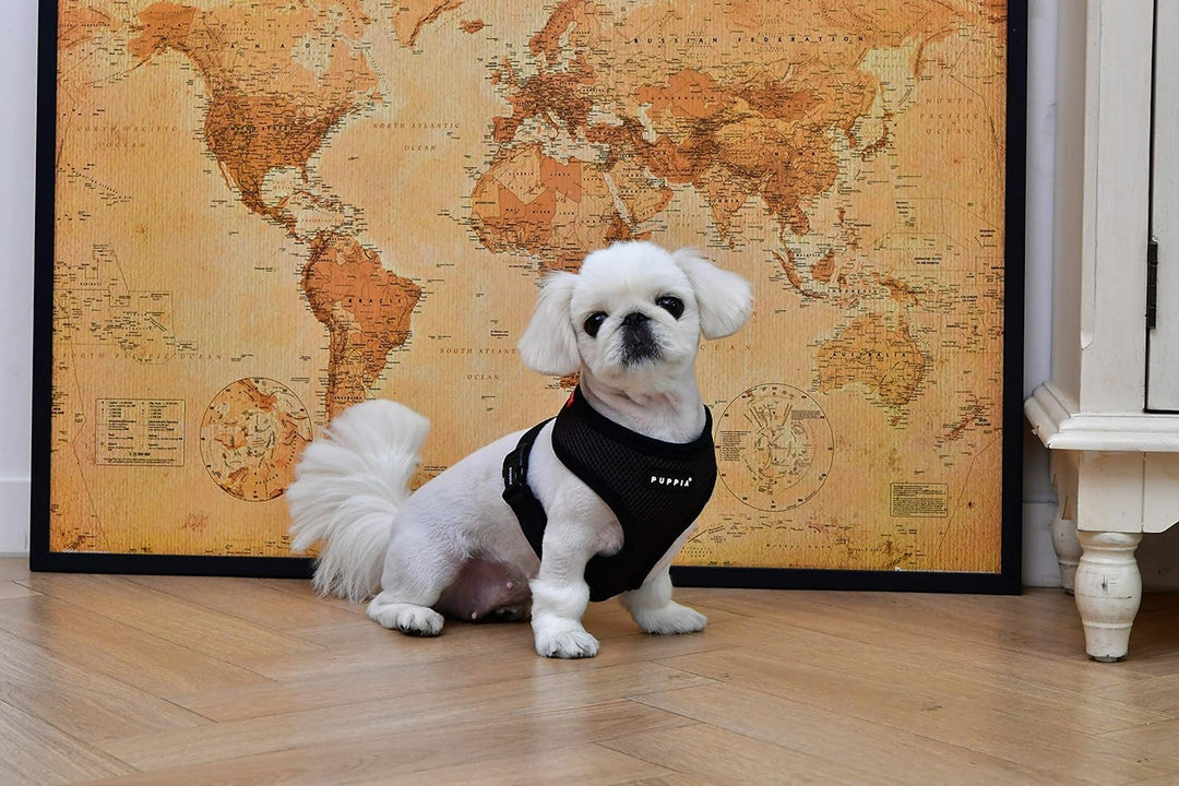 Puppia Hundegeschirr für kleine und mittelgrosse Hunde - super weich in vielen Farben - Auch als Wel