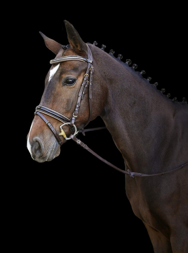 Kerbl 3210490 Trensenzaum Kingston, Braun Pony, Englisch Komb. Modell, 2.5 kg (1er Pack)