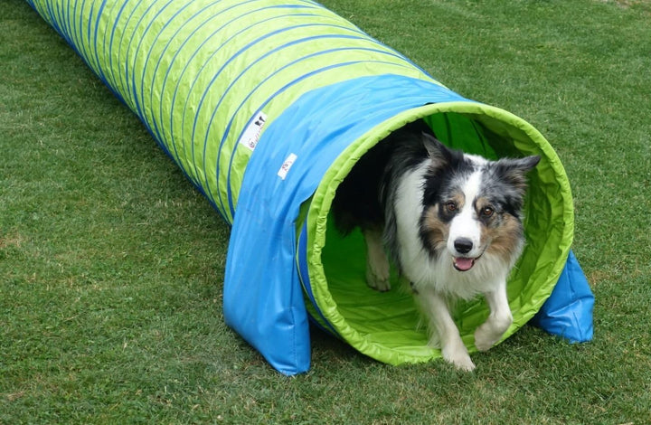 Callieway® Dog Agility Tunnel Profi Hunde Tunnel Agility Gerät (Stützsandsäcke bereits inklusive) (5