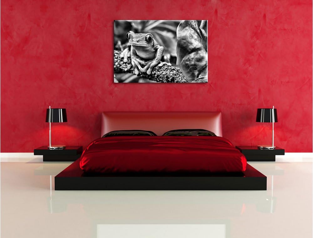 Pixxprint Rotaugenlaubfrosch auf AST als Leinwandbild/Grösse: 100x70 / Wandbild/Kunstdruck/fertig be