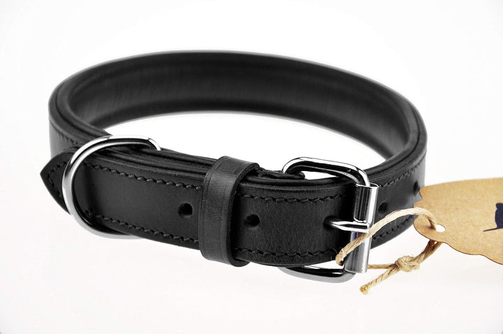 Schnüffelfreunde Halsband für Hunde aus Leder, Hundehalsband für den grossen, mittleren und kleinen