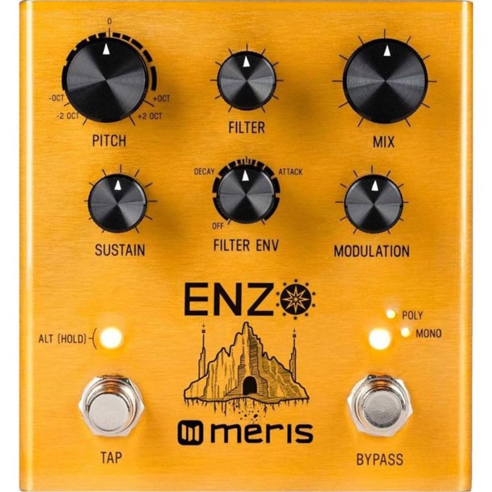 Meris Enzo