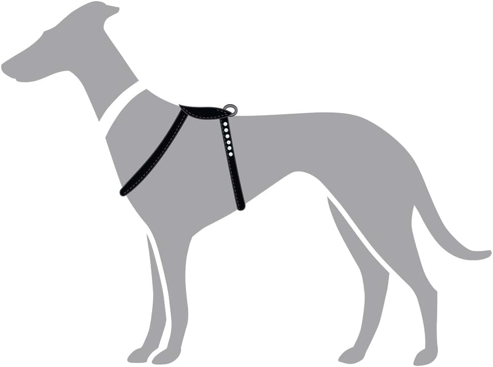 Hunter Hundegeschirr Round &amp; Soft Canadian UP, Farbe: Cognac, weiches, geschmeidiges Leder, rundgenä