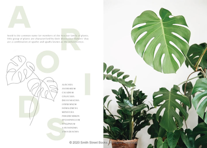 Plantopedia: The Definitive Guide to House Plants, Gebundenes Buch