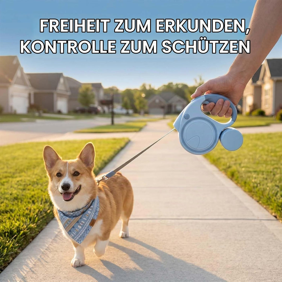 Hundeleine mit LED 5m, Rollleine für Hunde bis 10-25kg, Hundeleine Ausziehbar mit rutschfest Griff,