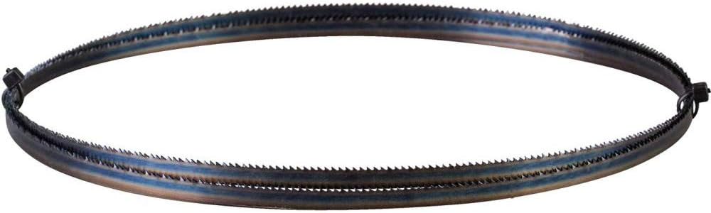 Holzkraft Sägeband (Länge 1790 mm, Zahnteilung 14 ZpZ, Höhe 6 mm, für Holz/Plastik/Kunststoffe) 5160
