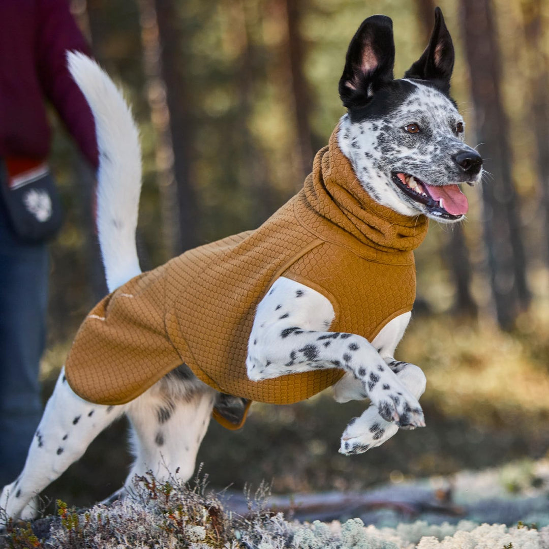 Wärmende Midlayer Hundejacke ECO (25 cm, Desert) 25 cm Desert, 25 cm Desert