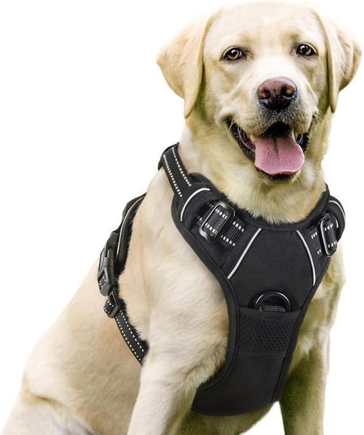 Hundegeschirr Verstellbar 38-89cm Brust Reflektierend | Doppelzugpunkte Vorne &amp; Hinten, Polyester Ne