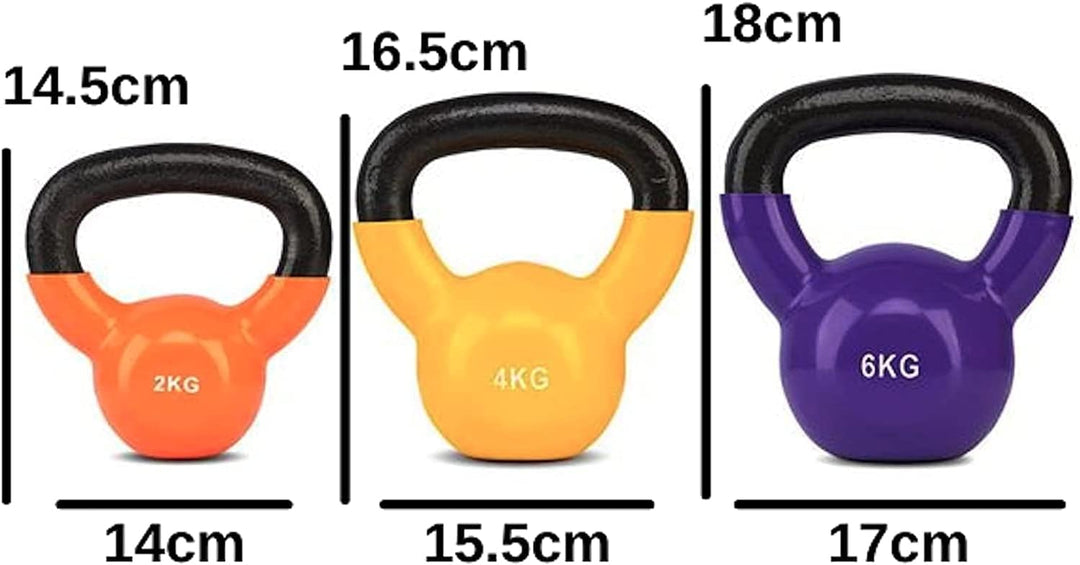 Kettlebell Set - Einsteiger Set 2kg-4kg-6kg im stabilen Hardcase Koffer - Fitness Training - Kettleb