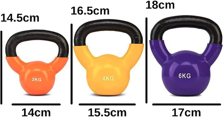 Kettlebell Set - Einsteiger Set 2kg-4kg-6kg im stabilen Hardcase Koffer - Fitness Training - Kettleb