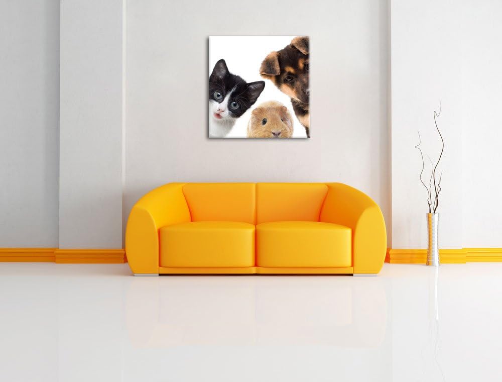 Pixxprint Trio Hund Katze Meerschwein als Leinwandbild/Grösse: 70x70 cm/Wandbild/Kunstdruck/fertig b