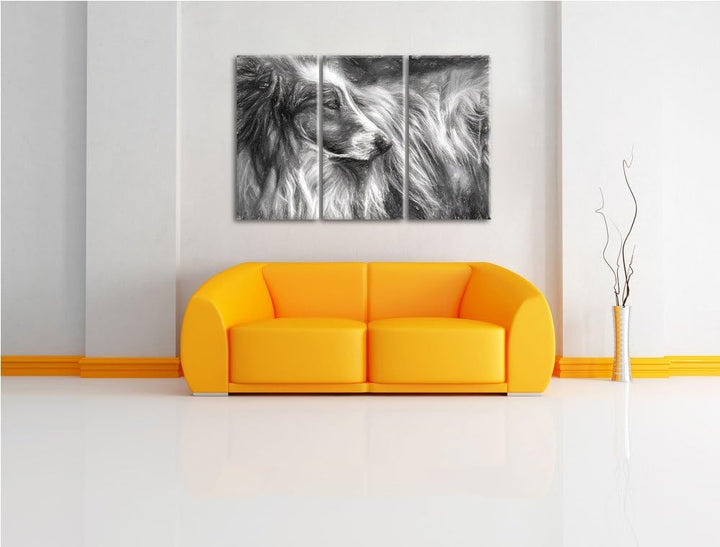 schöner Collie im Seitenprofil NewArt 3-Teiler Leinwandbild 120x80 Bild auf Leinwand, XXL riesige Bi