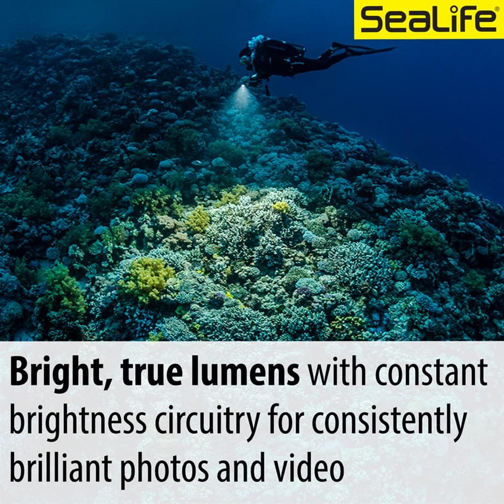SeaLife Sea Dragon 3000SF Pro Dual Beam (SL679) LED-Licht-Set (Griff und Ablage), LED-Licht-Set (Gri