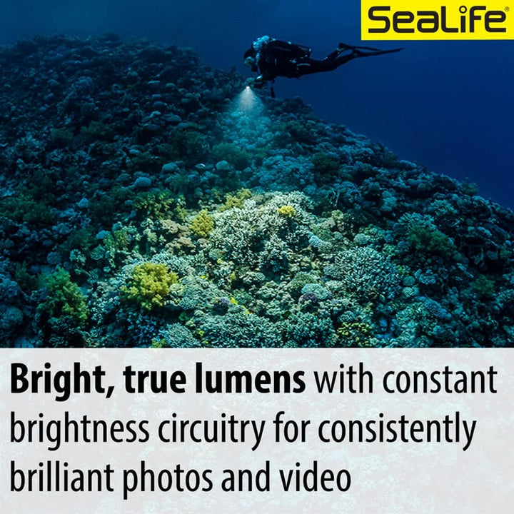 SeaLife Sea Dragon 3000SF Pro Dual Beam (SL679) LED-Licht-Set (Griff und Ablage), LED-Licht-Set (Gri